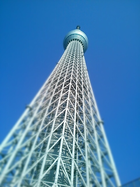 aviary_1466243440311.jpg