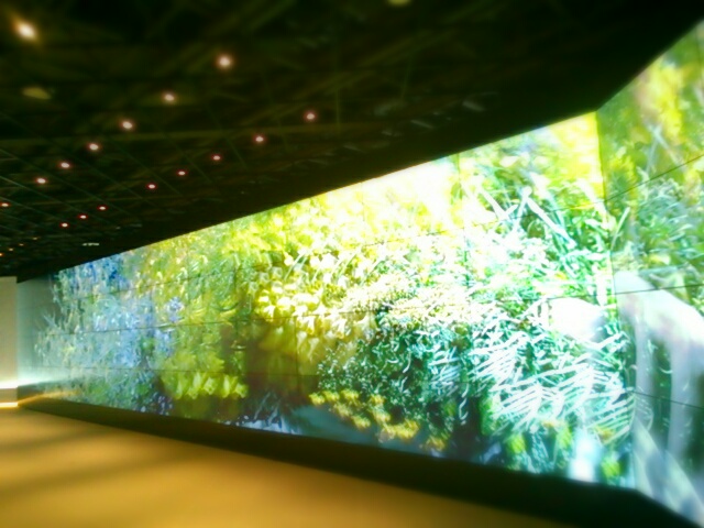 aviary_1466424567588.jpg
