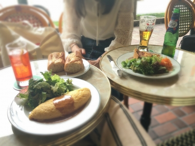 aviary_1466424483340.jpg