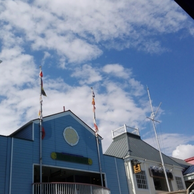 IMG_20160904_134525.jpg
