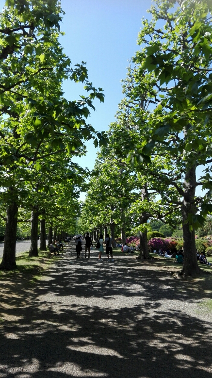 IMG_20170505_141624.jpg