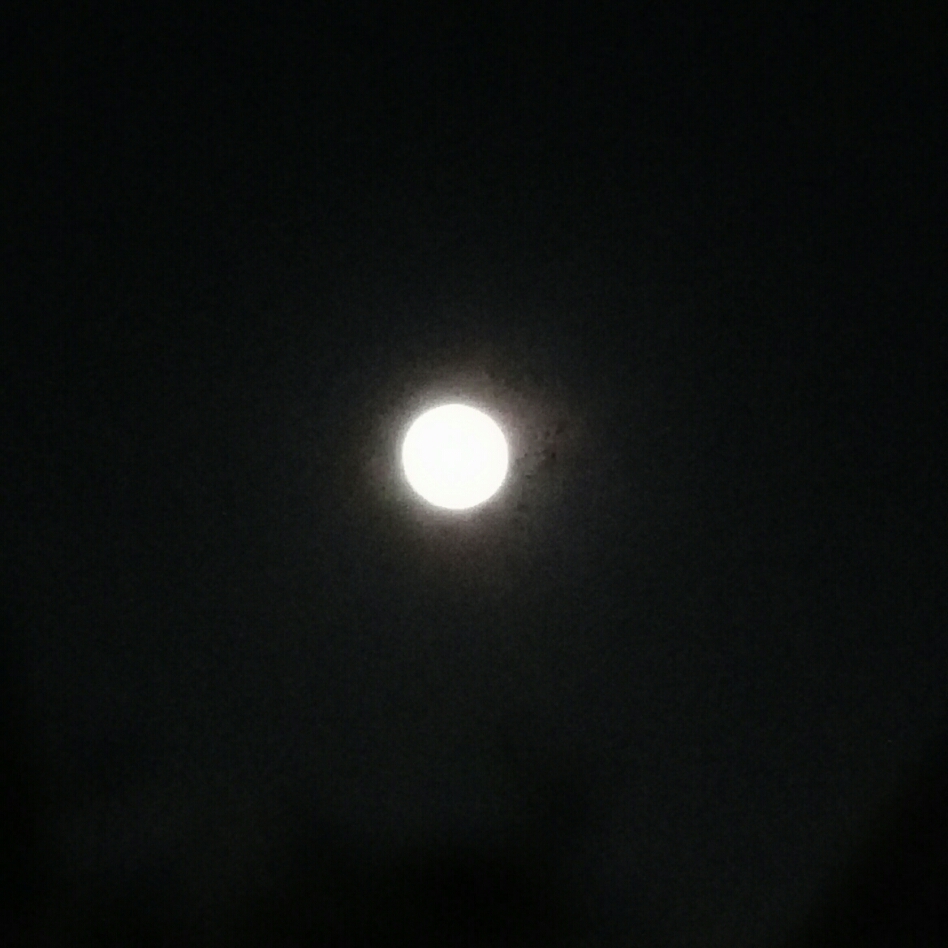 IMG_20171105_194905.jpg