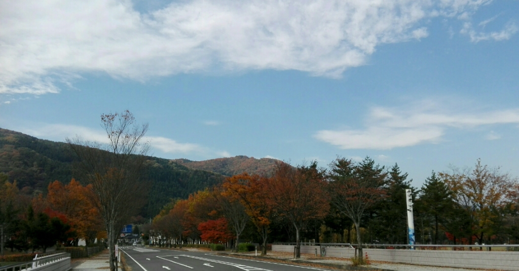 IMG_20171110_111319.jpg