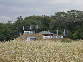 天龍峡そば祭り