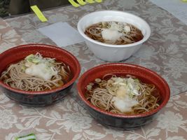 天龍峡そば祭り