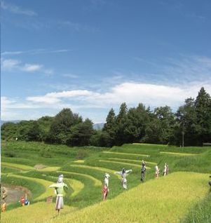 よこね田んぼ