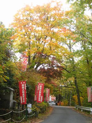 天龍峡遊歩道紅葉