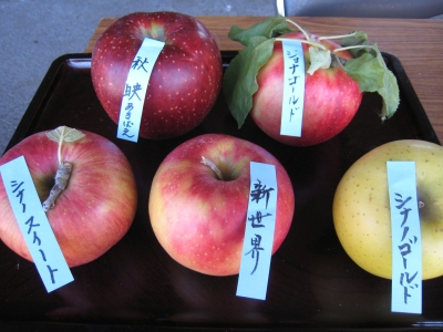 天龍峡 りんご