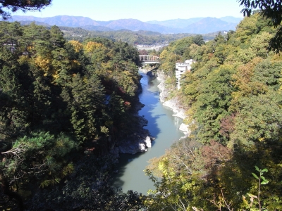 11月11日紅葉