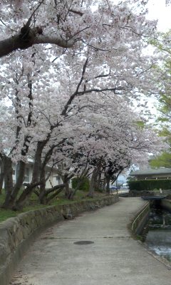 130329_0954~01.JPG