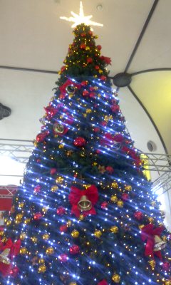 131220_1743~01.JPG