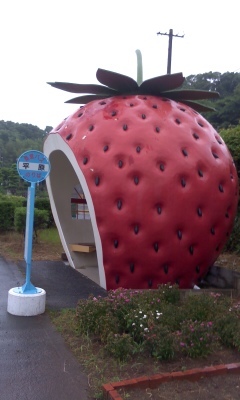 140610_1706~01.JPG
