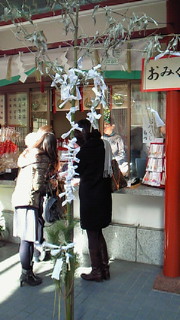 201101071154000.jpg