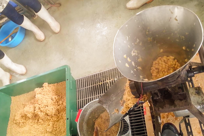 味噌作り