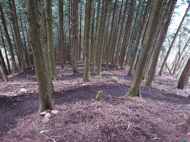 07.jpg