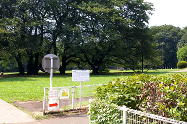 砧公園1