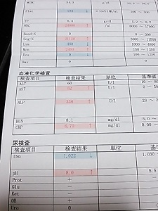 0919.JPG
