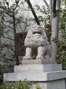 IMG_1485.JPG