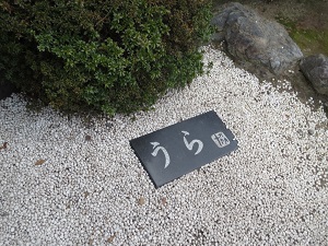 IMG_1508.JPG