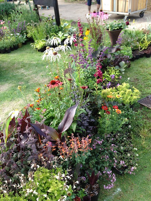 cut1IMG_2472.jpg