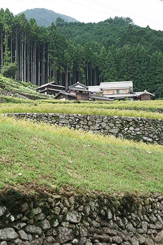山村