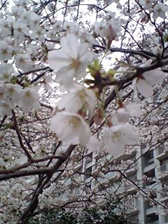 080327_0949~0001.jpg