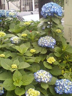 080531_1343~0001.jpg
