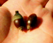 20081101110228.jpg