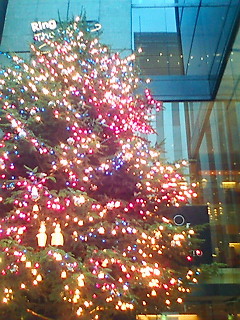 20081112145140.jpg