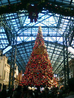 20081207151646.jpg