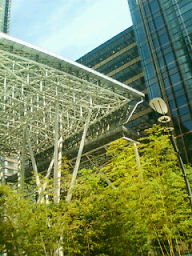 20090518125925.jpg