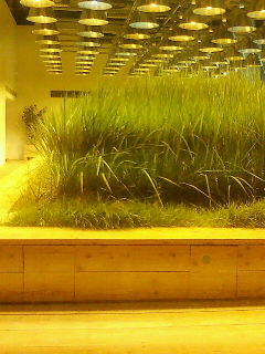 20100707112622.jpg