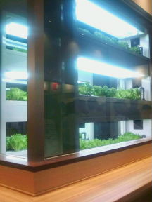 20100707120257.jpg