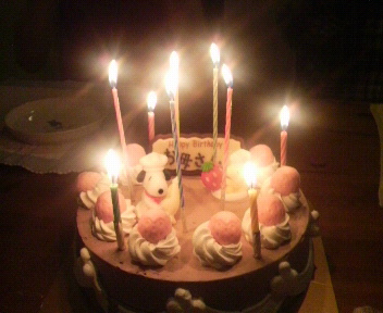 2010050819520001.jpg