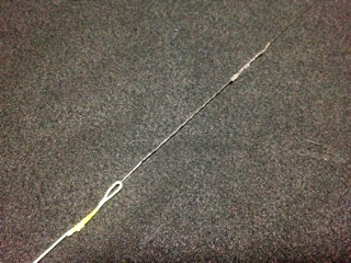 iPhoneImage.png