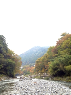 iPhoneImage.png
