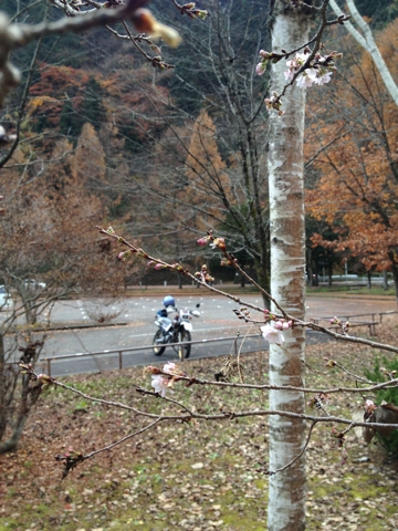 iPhoneImage.png