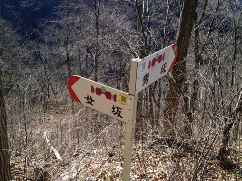 iPhoneImage.png