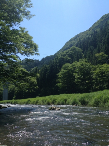 iPhoneImage.png