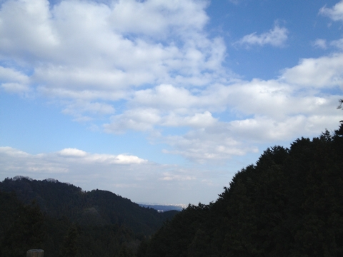 iPhoneImage.png