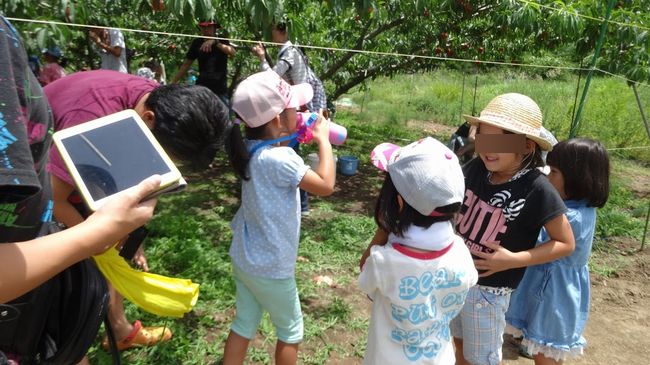 2017年H29山梨一宮御坂の桃狩りはどこがオススメ?食べ放題時間制限なしの農園