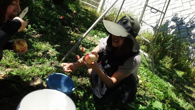 山梨県御坂町8月月中旬お盆桃狩り食べ放題直売所お土産