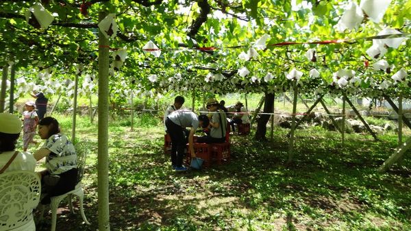 笛吹市御坂町2018年8月からやってる直売所観光園おすすめぶどう狩り食べ放題