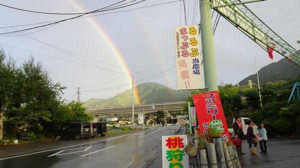 新型コロナが治まったら行きたい密にならない山梨観光桃桃狩り食べ放題。お取り寄せもオススメの観光園、桃狩り農園