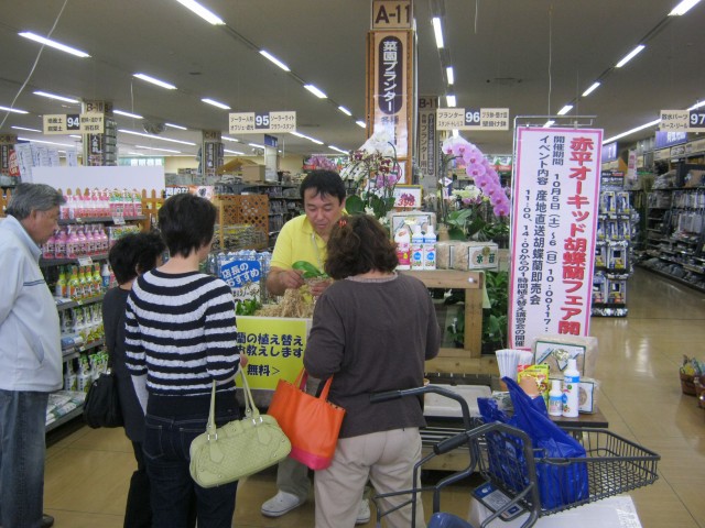 ホーマックの胡蝶蘭フェア 赤平胡蝶蘭だより 北海道からお届けする胡蝶蘭ブログ