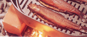 Àîµû¤Î¹á¤êßîÀ½