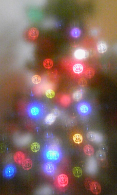 101210_090101.jpg