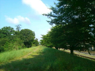 SN3L0420.jpg