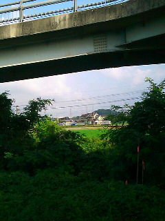 SN3L29500001.jpg