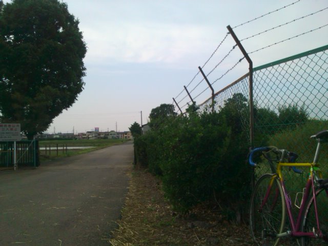 SN3L0681.jpg